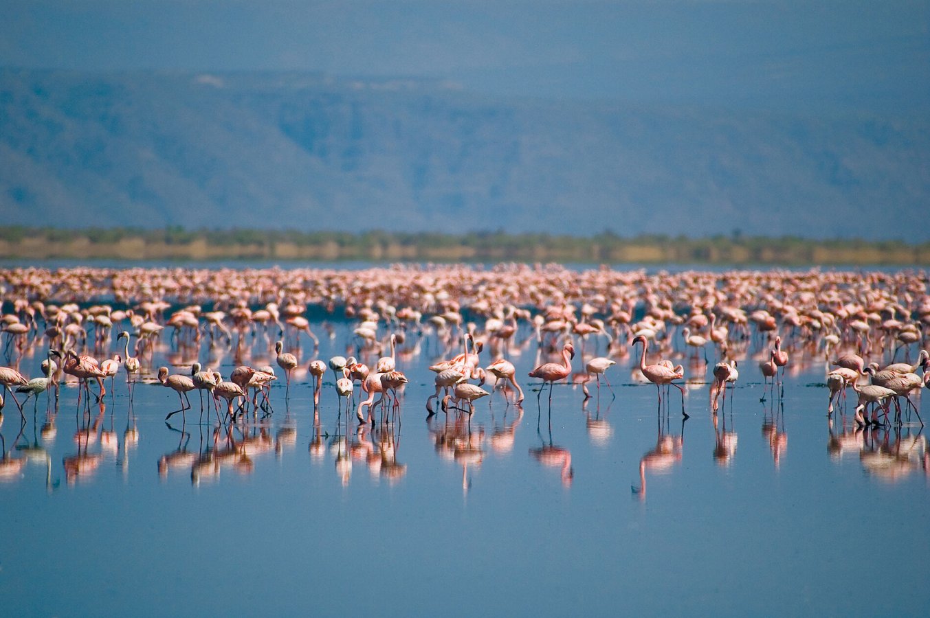 Lake Natron - Tanzania Destination