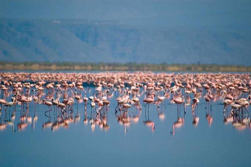 Lake Natron, Tanzania