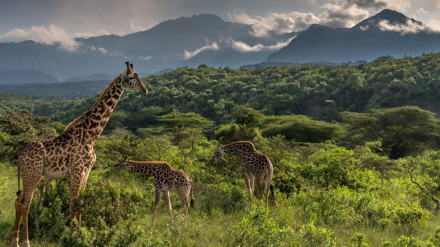 Arusha National Park - Tanzania Destination