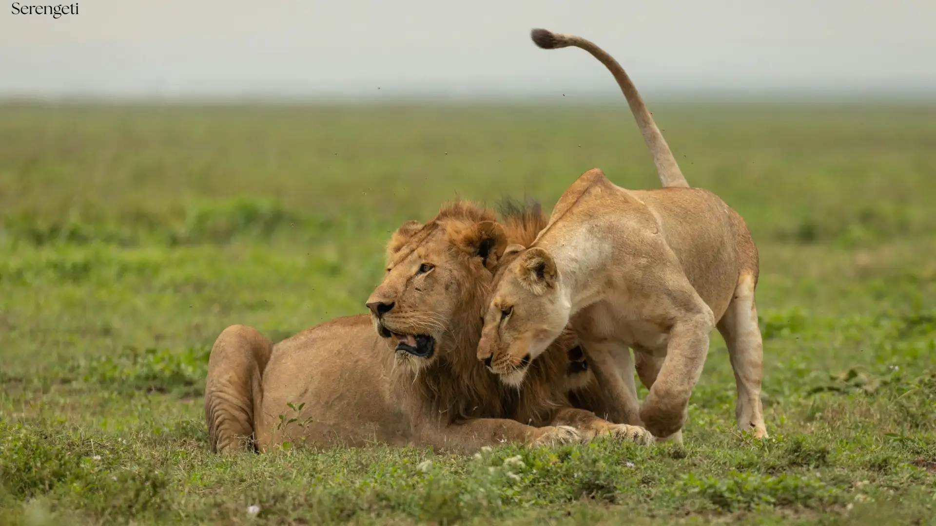 About Exceed Expectations Tours