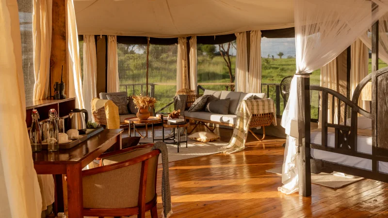 7-Day Luxury Northern Circuit Safari - Tanzania Safari