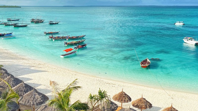 8-Day Safari & Zanzibar Beach Holiday - Tanzania Safari