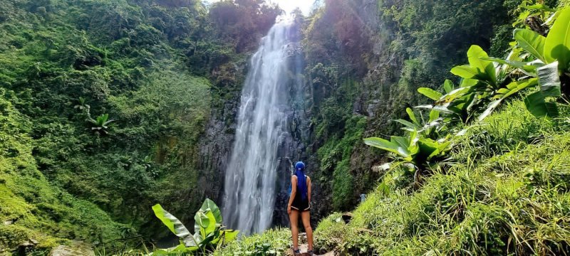 Materuni Waterfalls & Coffee Tour - Tanzania Safari